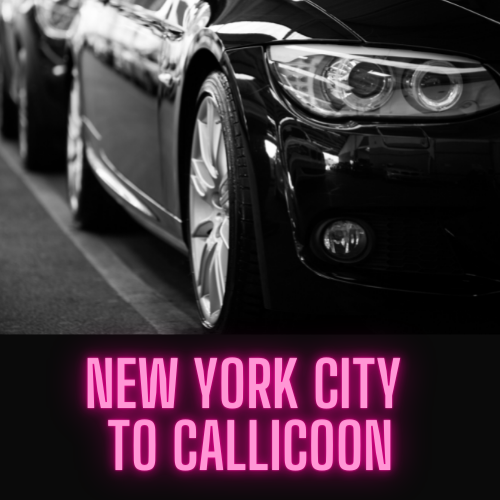 New York City to Callicoon Fixed Price Check Price & Book Now Online